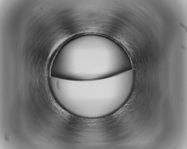 X0000098041120200804111339