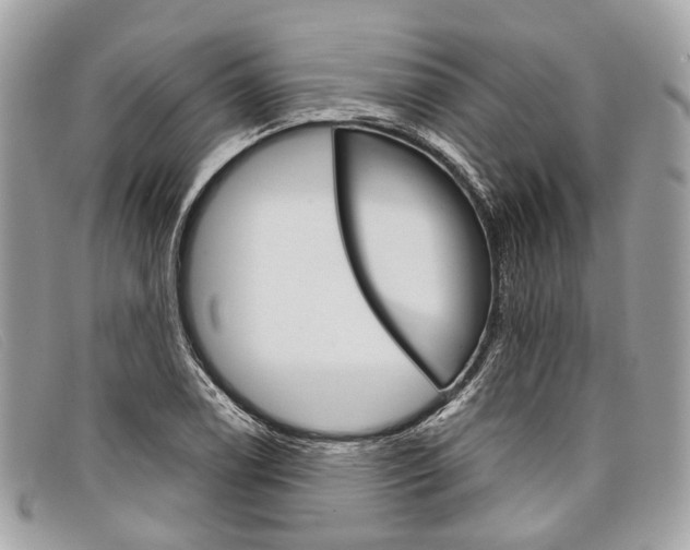 X0000098041122200804111339