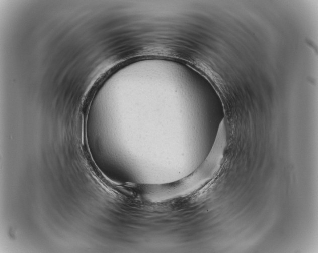 X0000098041123200804111339