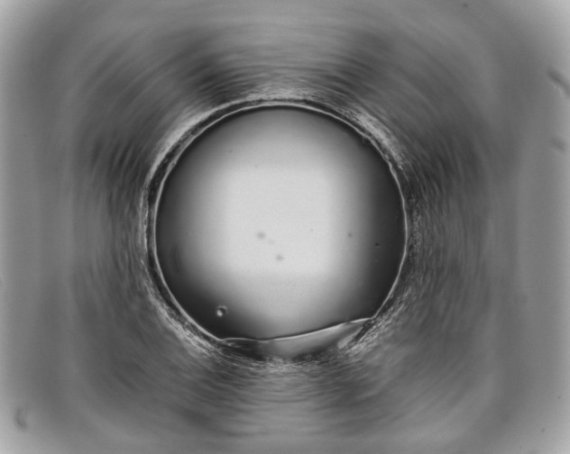 X0000098041124200804111339