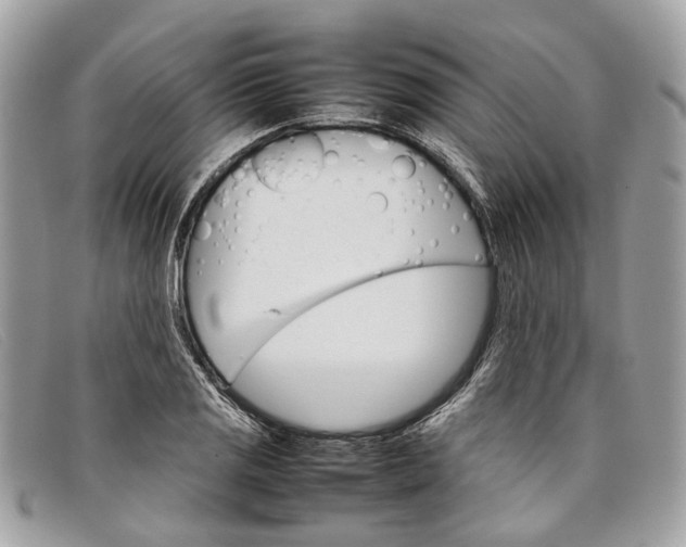 X0000098041125200804111339