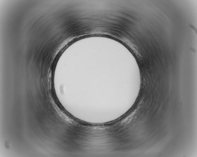 X0000098041126200804111339