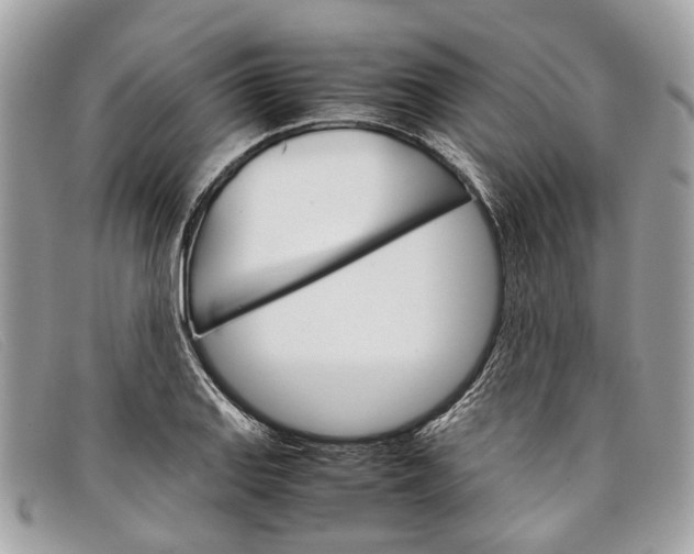 X0000098041127200804111339