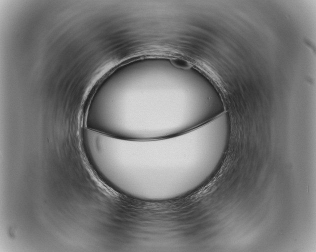 X0000098041128200804111339