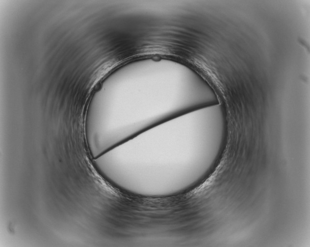 X0000098041129200804111339