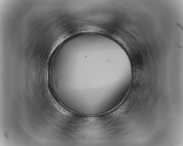 X0000098041130200804111339