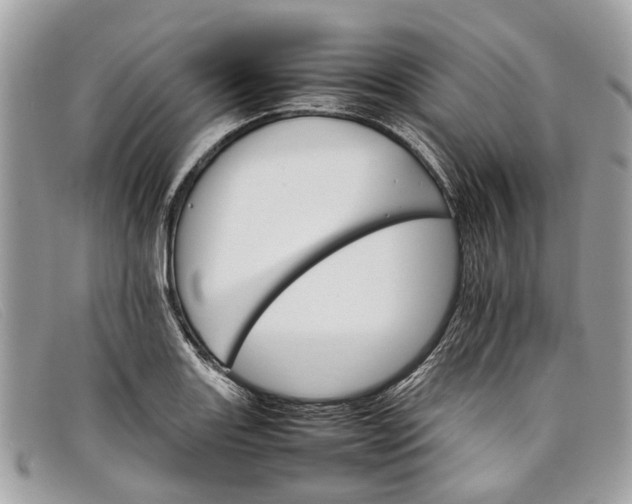 X0000098041131200804111339