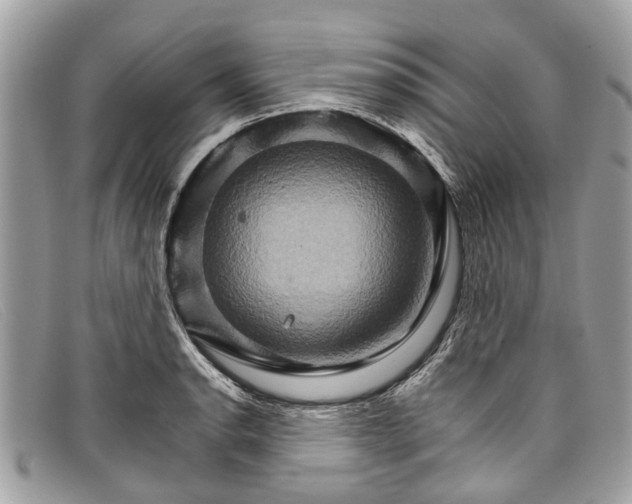 X0000098041134200804111339