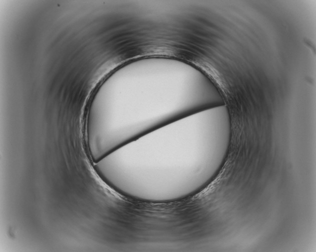 X0000098041135200804111339