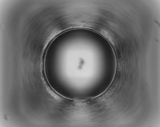 X0000098041136200804111339
