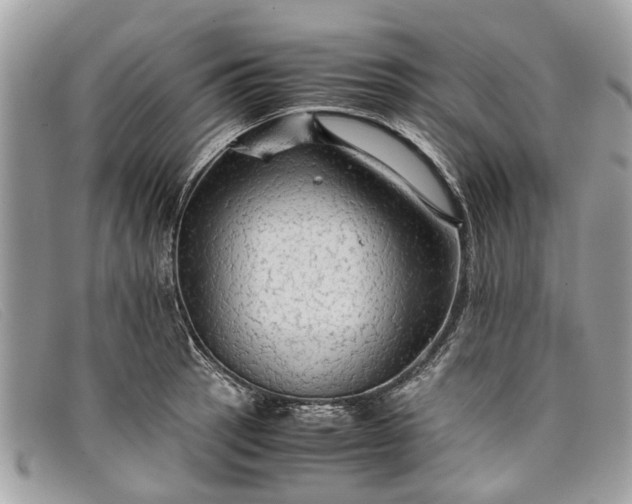 X0000098041137200804111339