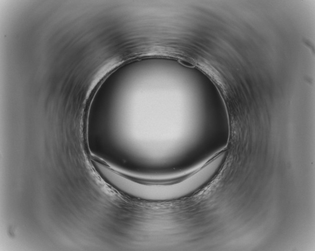 X0000098041138200804111339