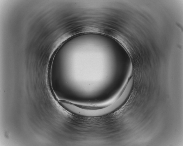 X0000098041139200804111339