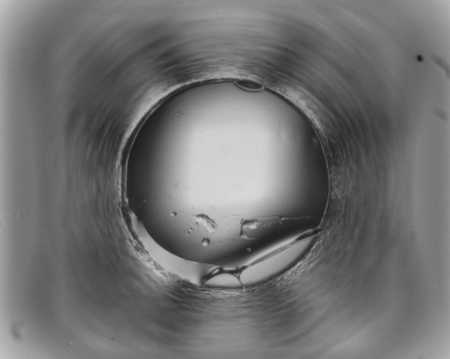 X0000098041140200804111339