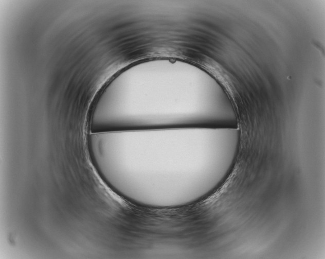 X0000098041141200804111340