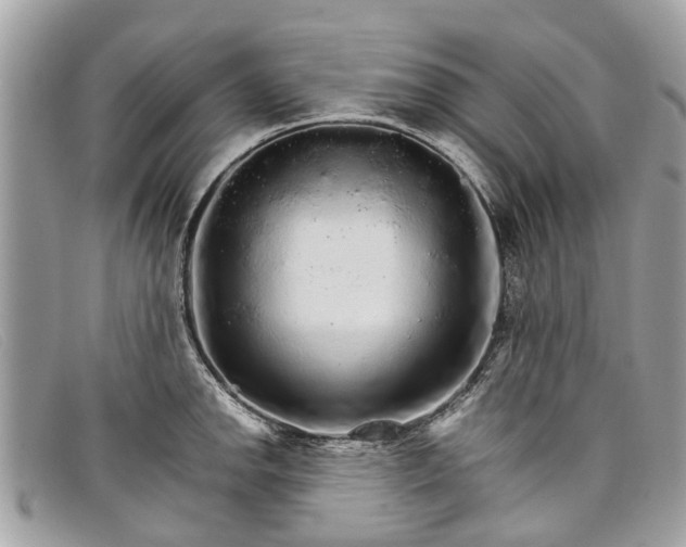 X0000098041142200804111340