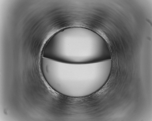 X0000098041144200804111340