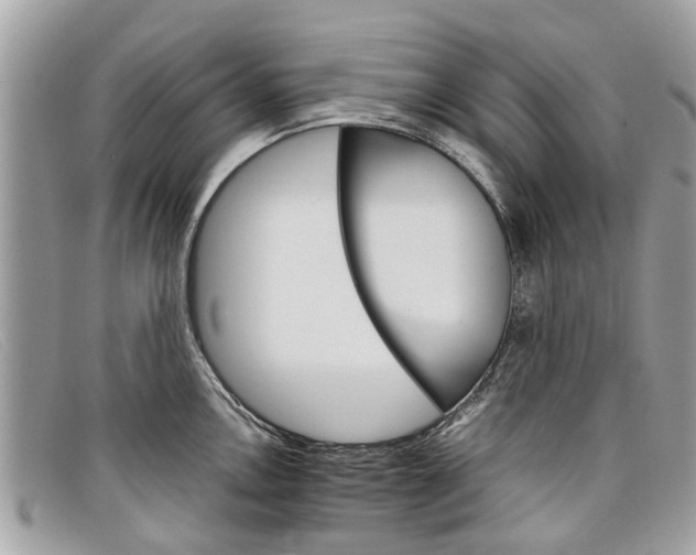 X0000098041146200804111340