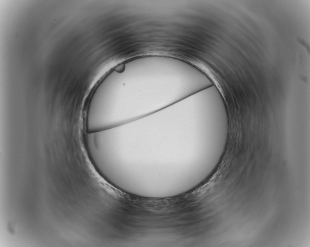 X0000098041147200804111340