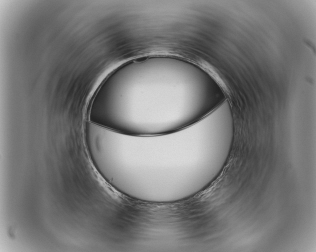 X0000098041148200804111340