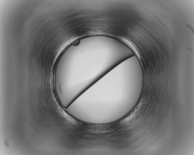 X0000098041149200804111340