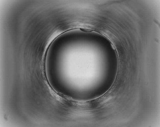 X0000098041152200804111340