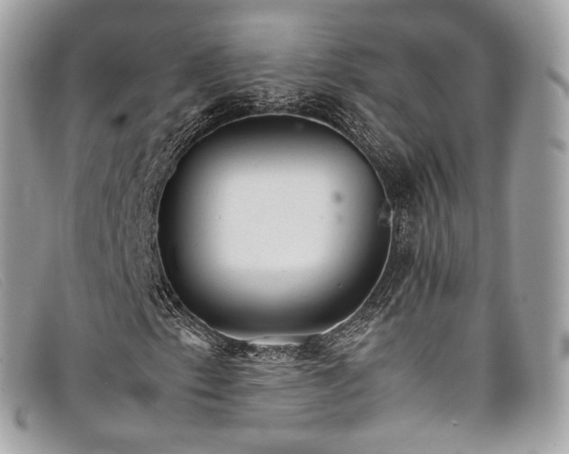 X0000098041153200804111339