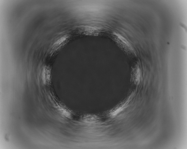 X0000098041154200804111339