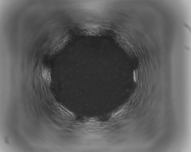 X0000098041155200804111339
