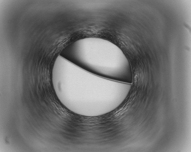 X0000098041156200804111339
