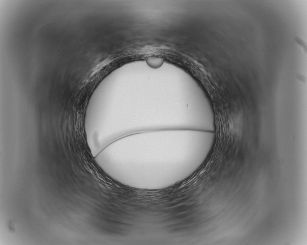 X0000098041158200804111339