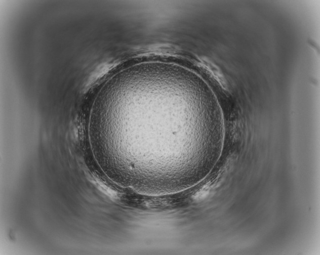 X0000098041159200804111339