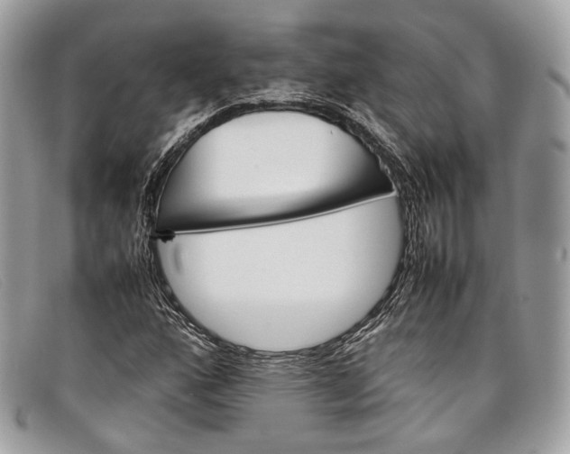 X0000098041160200804111339