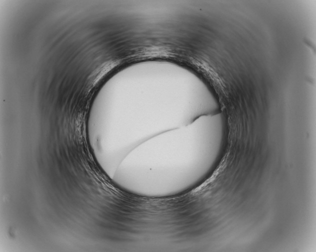 X0000098041162200804111339