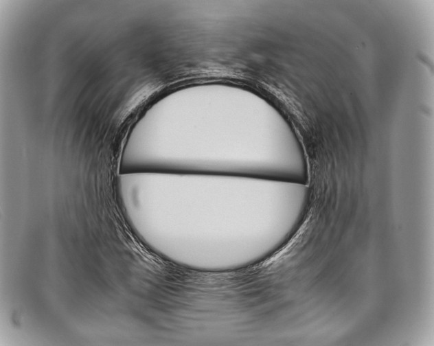 X0000098041163200804111339