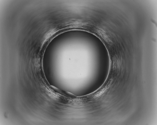 X0000098041164200804111339