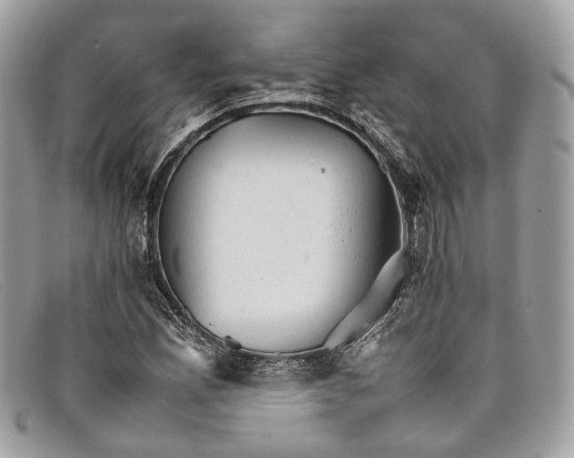 X0000098041165200804111339