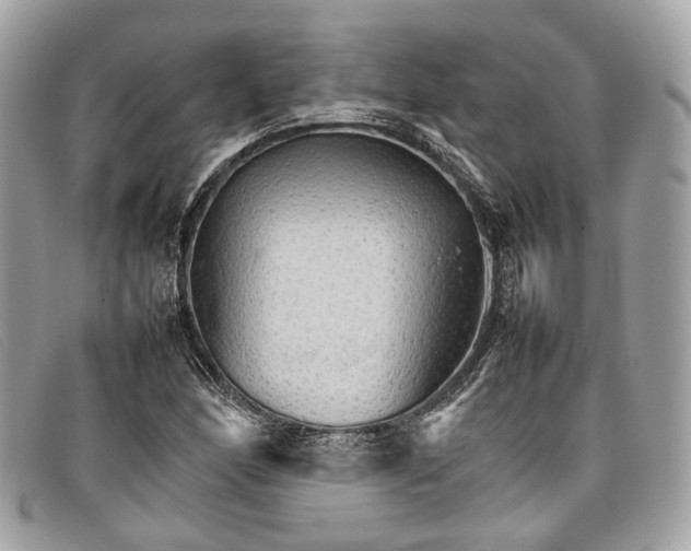 X0000098041166200804111339