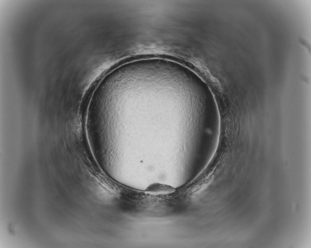 X0000098041167200804111339