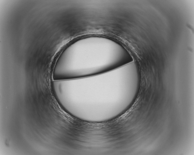X0000098041168200804111339