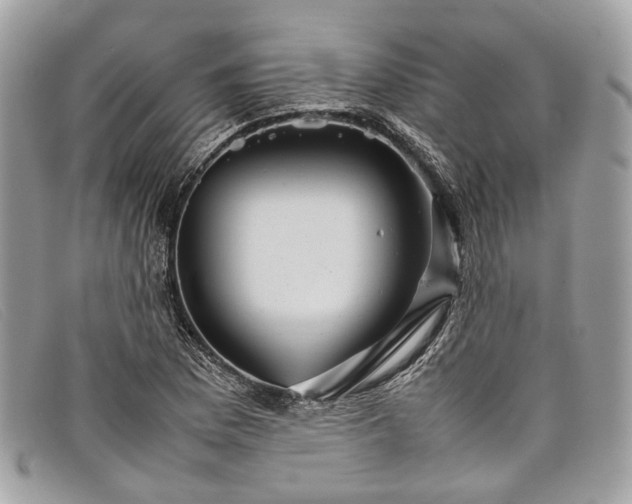X0000098041169200804111339