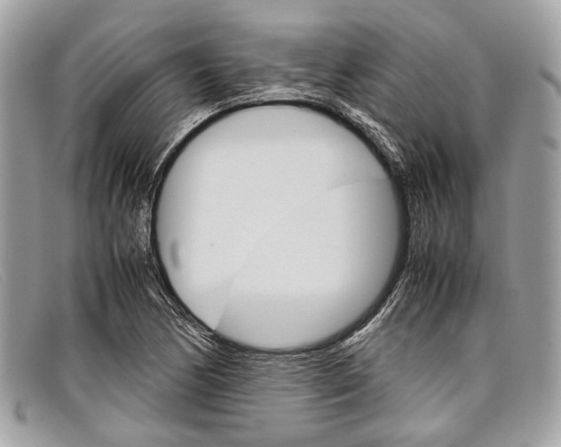 X0000098041170200804111339