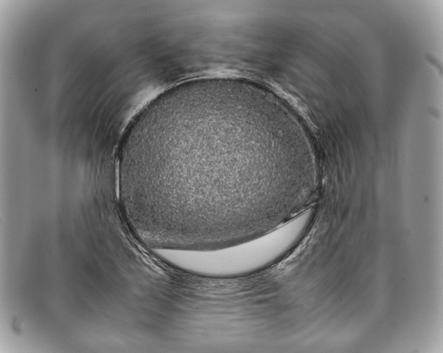 X0000098041171200804111339