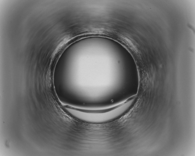 X0000098041172200804111339