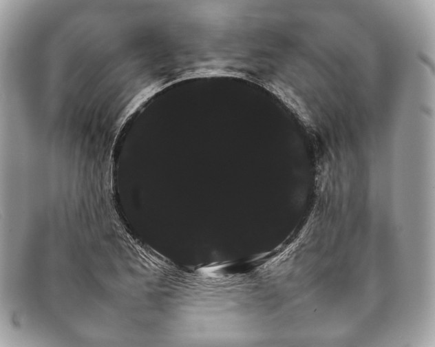 X0000098041173200804111339