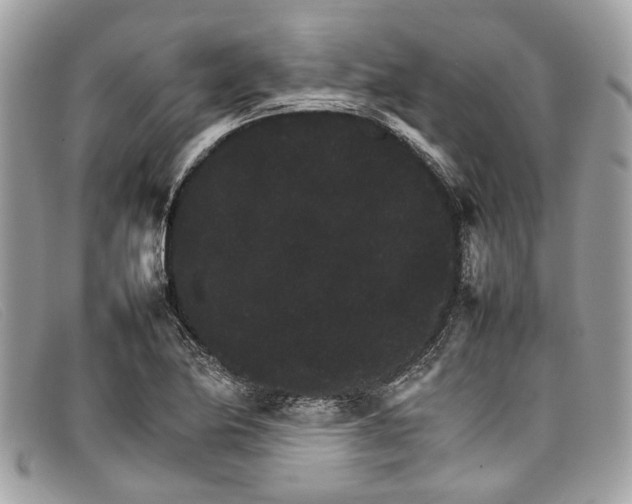 X0000098041174200804111339