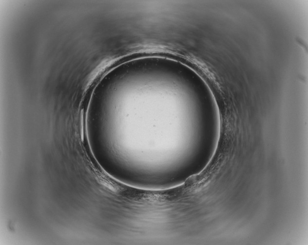 X0000098041175200804111339