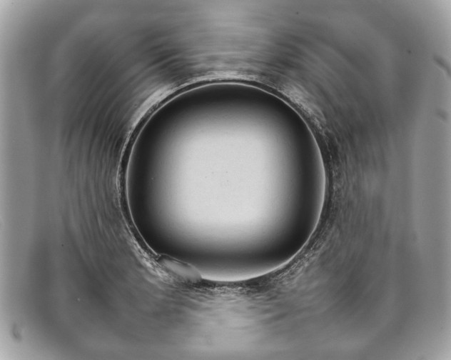 X0000098041181200804111339