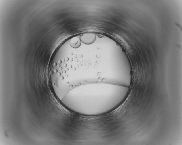 X0000098041182200804111339