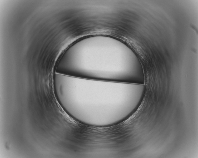 X0000098041184200804111339